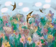 meadow